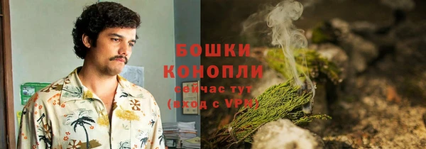 первитин Гусев