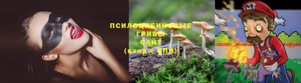мяу мяу мука Горнозаводск
