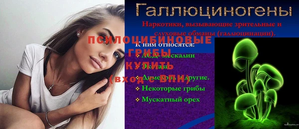 дурь Гусиноозёрск