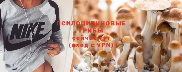 стафф Горно-Алтайск