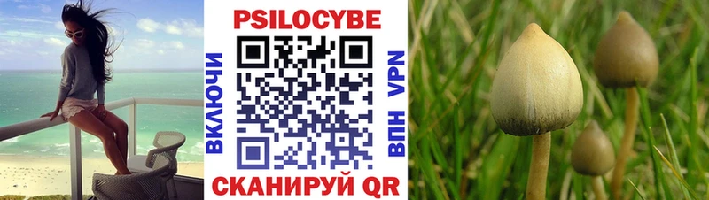 Галлюциногенные грибы Psilocybe  Купить  Плавск 